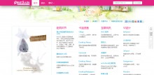 上海虔城公司品牌网站_网站建设案例