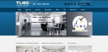 TLMC Services_网站建设案例