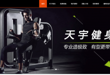 天宇豪国际健身连锁 WordPress企业主题案例